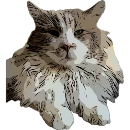 Hodowla kotów Maine Coon 